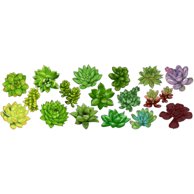 植物イラスト 多肉植物 Belt Bag Gifts Suzuri 植物イラスト 多肉植物 Belt Bag Gifts Suzuri