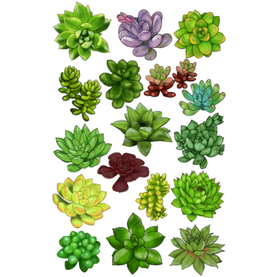 植物イラスト 多肉植物 Belt Bag Gifts Suzuri 植物イラスト 多肉植物 Belt Bag Gifts Suzuri