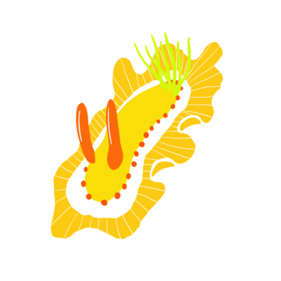 ウミウシ アイテム グッズの通販 Suzuri スズリ ウミウシ アイテム グッズの通販 Suzuri スズリ