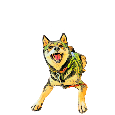 バッグ類