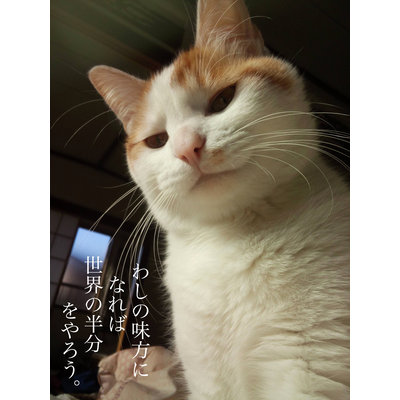 猫 トートバッグの通販 Suzuri スズリ 猫 トートバッグの通販 Suzuri スズリ