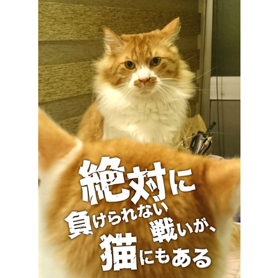 猫 サコッシュの通販 Suzuri スズリ