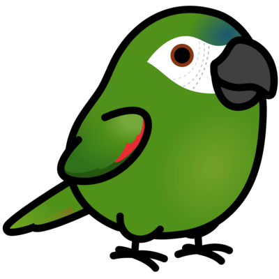 コンゴウインコ