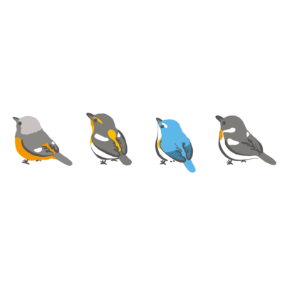 野鳥 アイテムの通販 Suzuri スズリ 野鳥 アイテムの通販 Suzuri スズリ