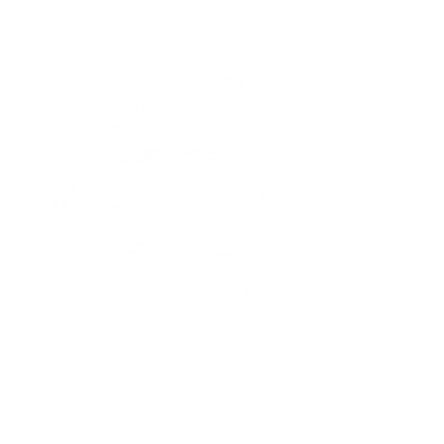 バッグ 類
