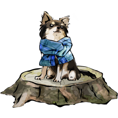 柴犬