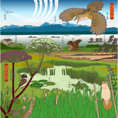 ラムサール条約登録湿地仏沼関連アイテム