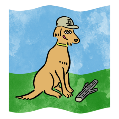 dog(GoldenRetriever)