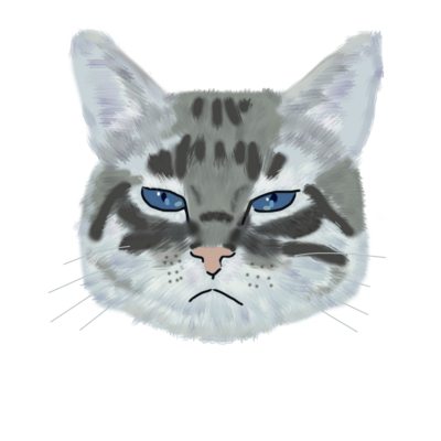 猫 パーカーの通販 Suzuri スズリ 猫 パーカーの通販 Suzuri スズリ