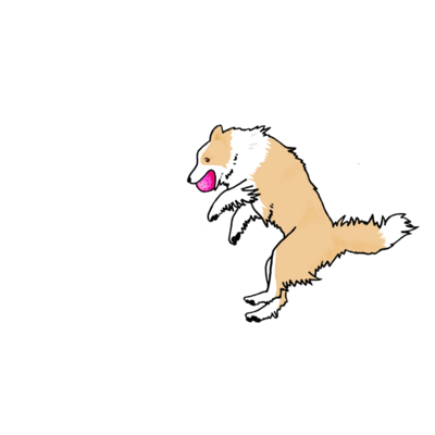 kaya