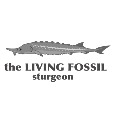 生きる化石