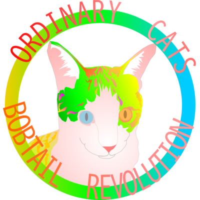 OrdinaryCats(普通の猫たち)