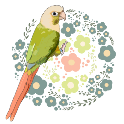 1000以上 ゆるいインコ インコ イラスト かわいい プロ 野球 髪型 1000以上 ゆるいインコ インコ イラスト かわいい プロ 野球 髪型