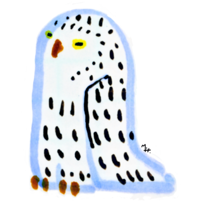 シロフクロウ