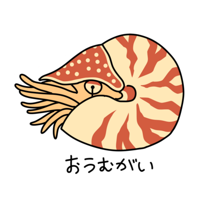 オウムガイ