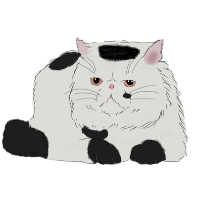 猫 パーカーの通販 Suzuri スズリ 猫 パーカーの通販 Suzuri スズリ