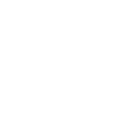 Stray Cats Club