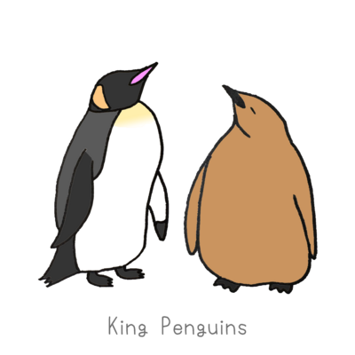 キングペンギン ステッカーの通販 Suzuri スズリ