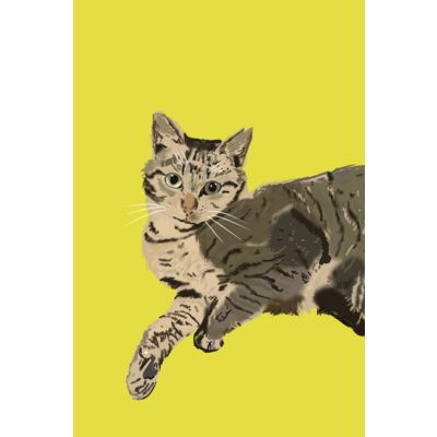 ネコ シリーズ