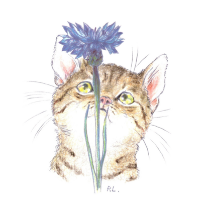 サビ猫 アイテム グッズの通販 Suzuri スズリ サビ猫 アイテム グッズの通販 Suzuri スズリ