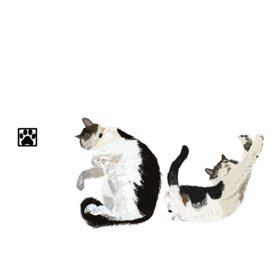ハチワレ アイテム グッズの通販 Suzuri スズリ ハチワレ アイテム グッズの通販 Suzuri スズリ