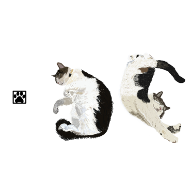 ハチワレ アイテム グッズの通販 Suzuri スズリ ハチワレ アイテム グッズの通販 Suzuri スズリ