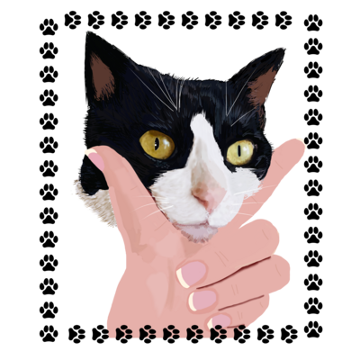 ネコ シリーズ