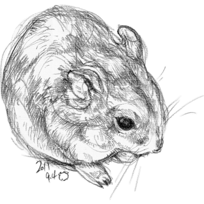 Nqjcok4gx9zn6m Nqjcok4gx9zn6m