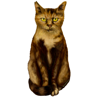 猫 パーカーの通販 Suzuri スズリ