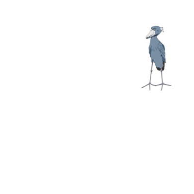動物