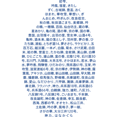 Typography