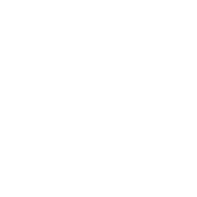 bomber head shark