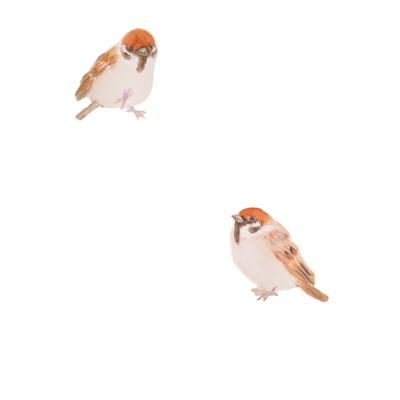 雀 スズメ ビッグシルエットtシャツの通販 Suzuri スズリ