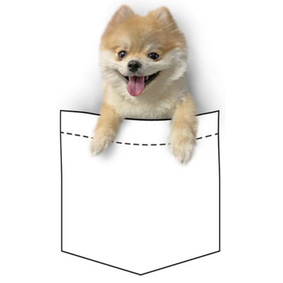 たぬき エコバッグの通販 Suzuri スズリ たぬき エコバッグの通販 Suzuri スズリ