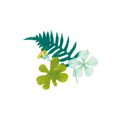 イラスト_tropicalhana