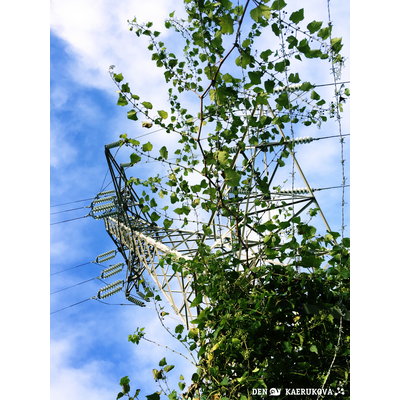 KK_Photo Art タイプ