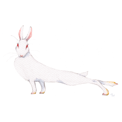 ウサギさん