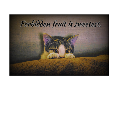 Forbidden fruit is sweetest