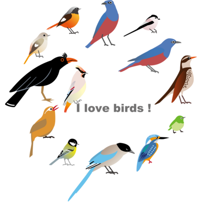 bird