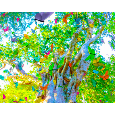 YOU are in wonderland まとめ