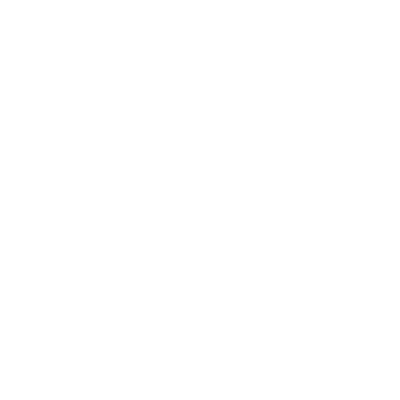 We become Bibimbap
