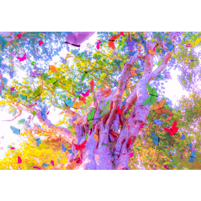 YOU are in wonderland まとめ