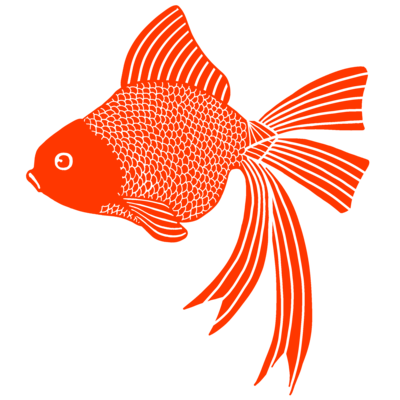 りぼん金魚