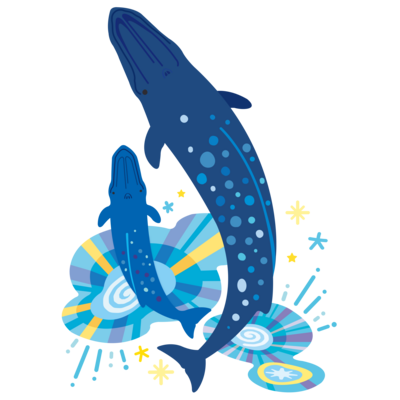 クジラ類