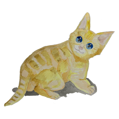 トップス