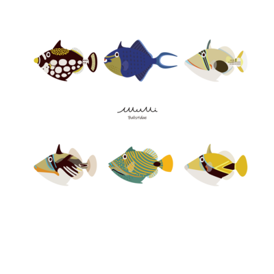 モンガラカワハギ科
