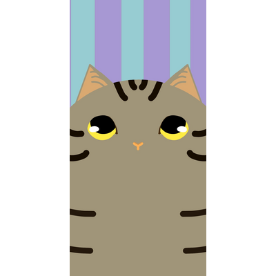 猫