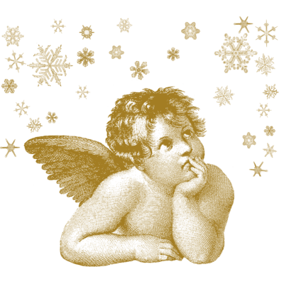 ♱てんし 翼 羽…♱