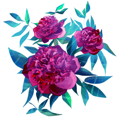 芍薬