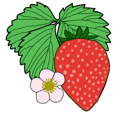 いろいろ いちご畑 イラスト Pngイラスト画像 いろいろ いちご畑 イラスト Pngイラスト画像